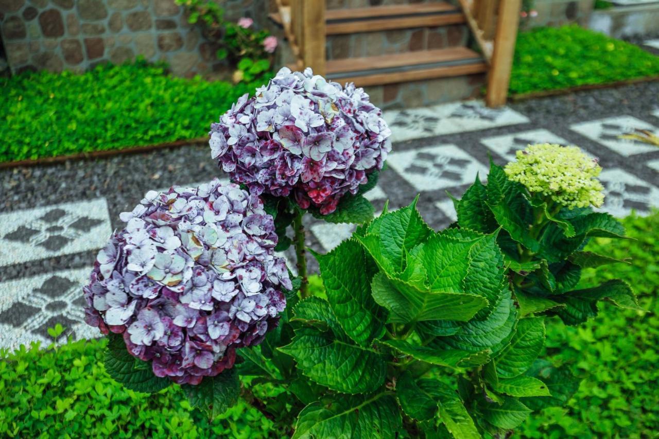 Hotel The Polumb Garden Bedugul Tabanan Zewnętrze zdjęcie